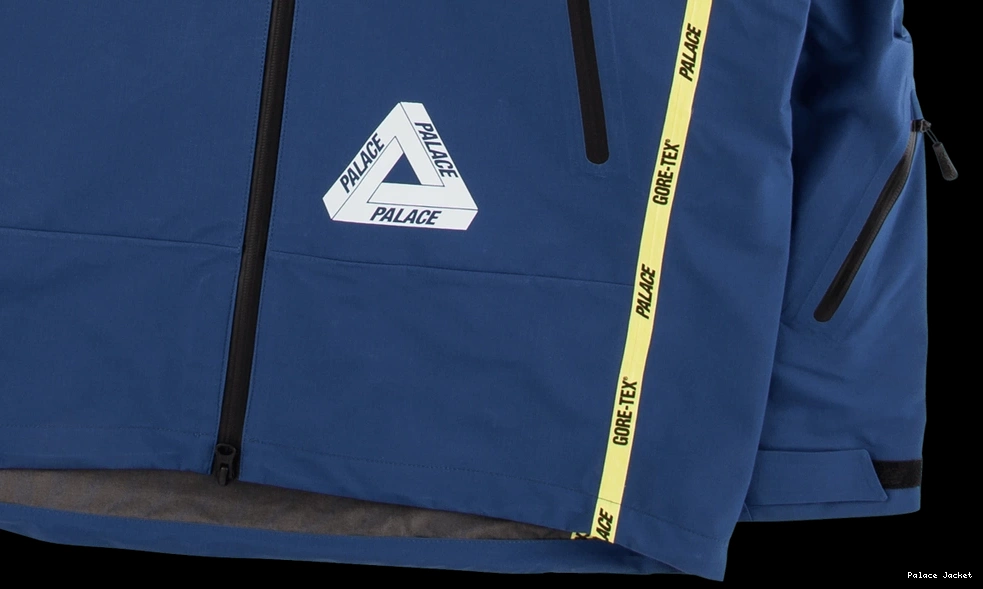 Cheap Palace Palex Gore-Tex Jacket 0708